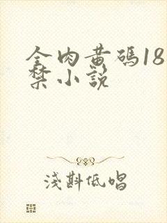全肉黄码18无禁小说