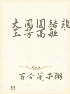 大团圆结亲情会王芳高敏封面