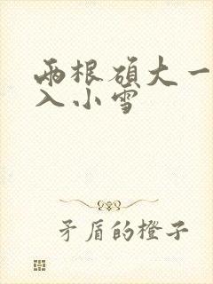 两根硕大一起挤入小雪