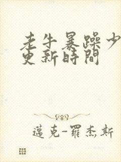 老牛暴躁少女的更新时间