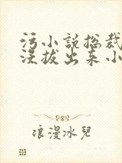 污小说总裁整夜没拔出来小说在线阅读