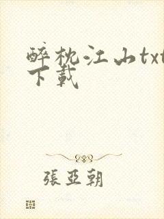 醉枕江山txt下载