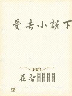 爱去小说下载网