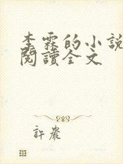 李霖的小说免费阅读全文