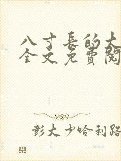 八寸长的大宝贝全文免费阅读