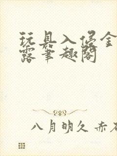 玩具入侵金银花露笔趣阁