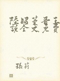 陆昭菱晋王的小说全文免费阅读