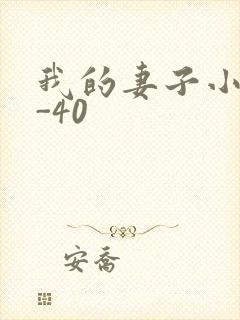 我的妻子小谨1-40