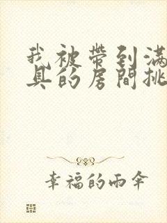 我被带到满是玩具的房间挑调游戏