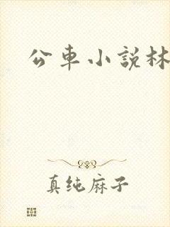 公车小说林蔓蔓