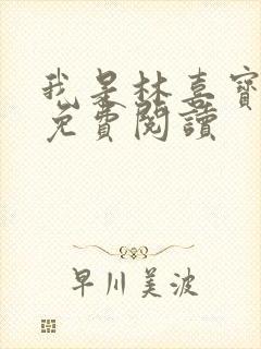 我是林喜宝小说免费阅读封面