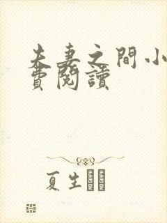 夫妻之间小说免费阅读