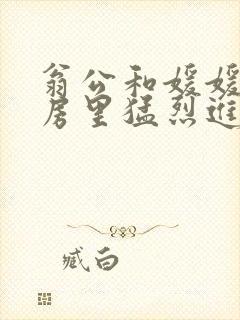 翁公和媛媛在厨房里猛烈进出