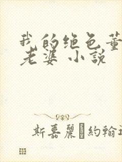 我的绝色董事长老婆 小说