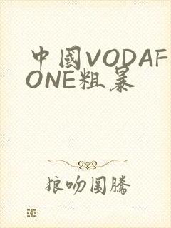 中国VODAFONE粗暴