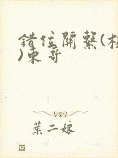 错位关系(校园)东哥