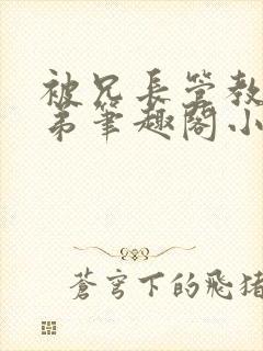 被兄长管教的弟弟笔趣阁小说