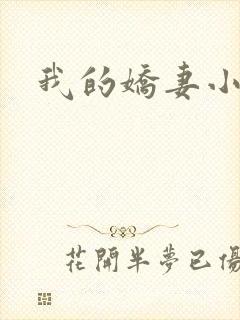 我的娇妻小说