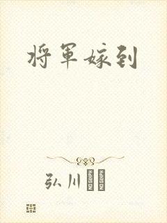 将军嫁到