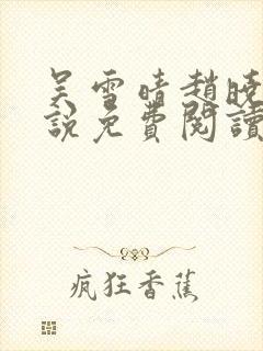 吴雪晴赵晓东小说免费阅读