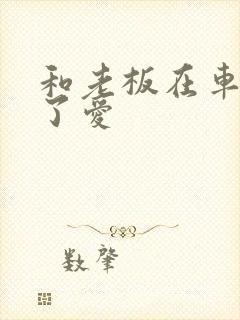 和老板在车里做了爱