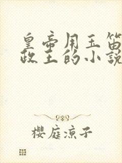 皇帝用玉笛整摄政王的小说