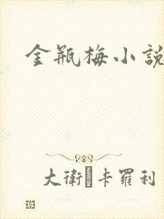 金瓶梅小说下载