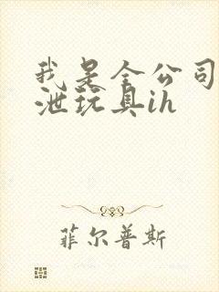 我是全公司的发泄玩具ih