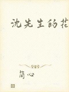 沈先生的花式调