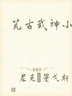 荒古武神小说