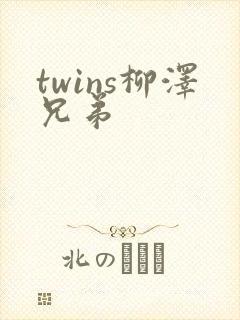 twins柳泽兄弟