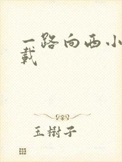 一路向西小说下载