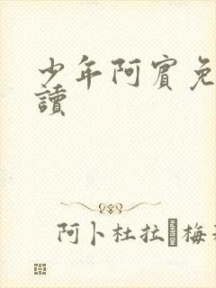 少年阿宾免费阅读