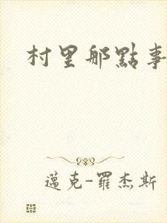 村里那点事儿封面