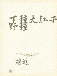 下种大肚子怀孕野种