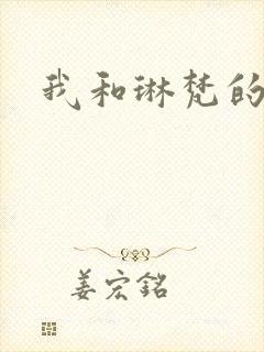 我和琳梵的故事