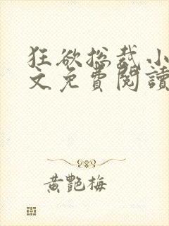 狂欲总裁小说全文免费阅读