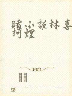 赌小说林喜朝和柯煜