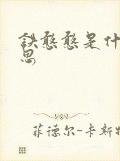 铁憨憨是什么意思