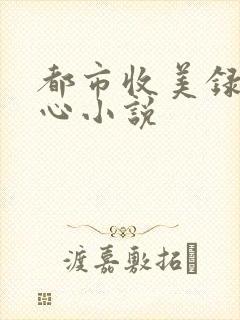 都市收美录宁素心小说