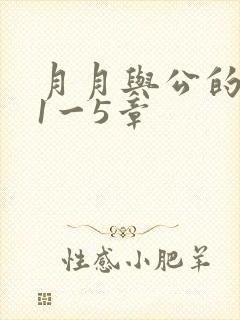 月月与公的激情1一5章