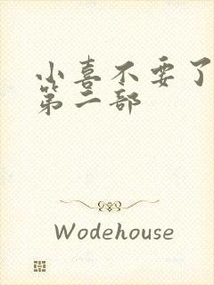 小喜不要了好大第二部封面