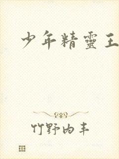 少年精灵王