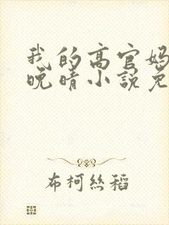 我的高官妈妈苏晚晴小说免费阅读