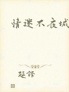 情迷不夜城