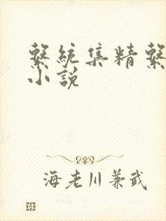 系统集精系统 小说