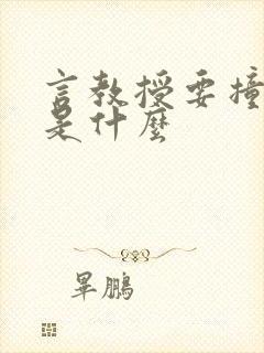 言教授要撞坏了是什么