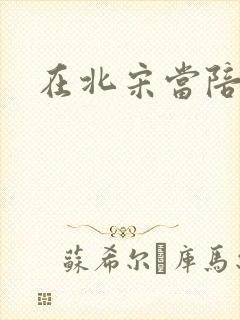 在北宋当陪房