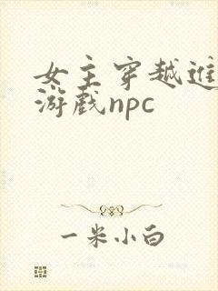 女主穿越进18游戏npc