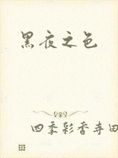 黑夜之色